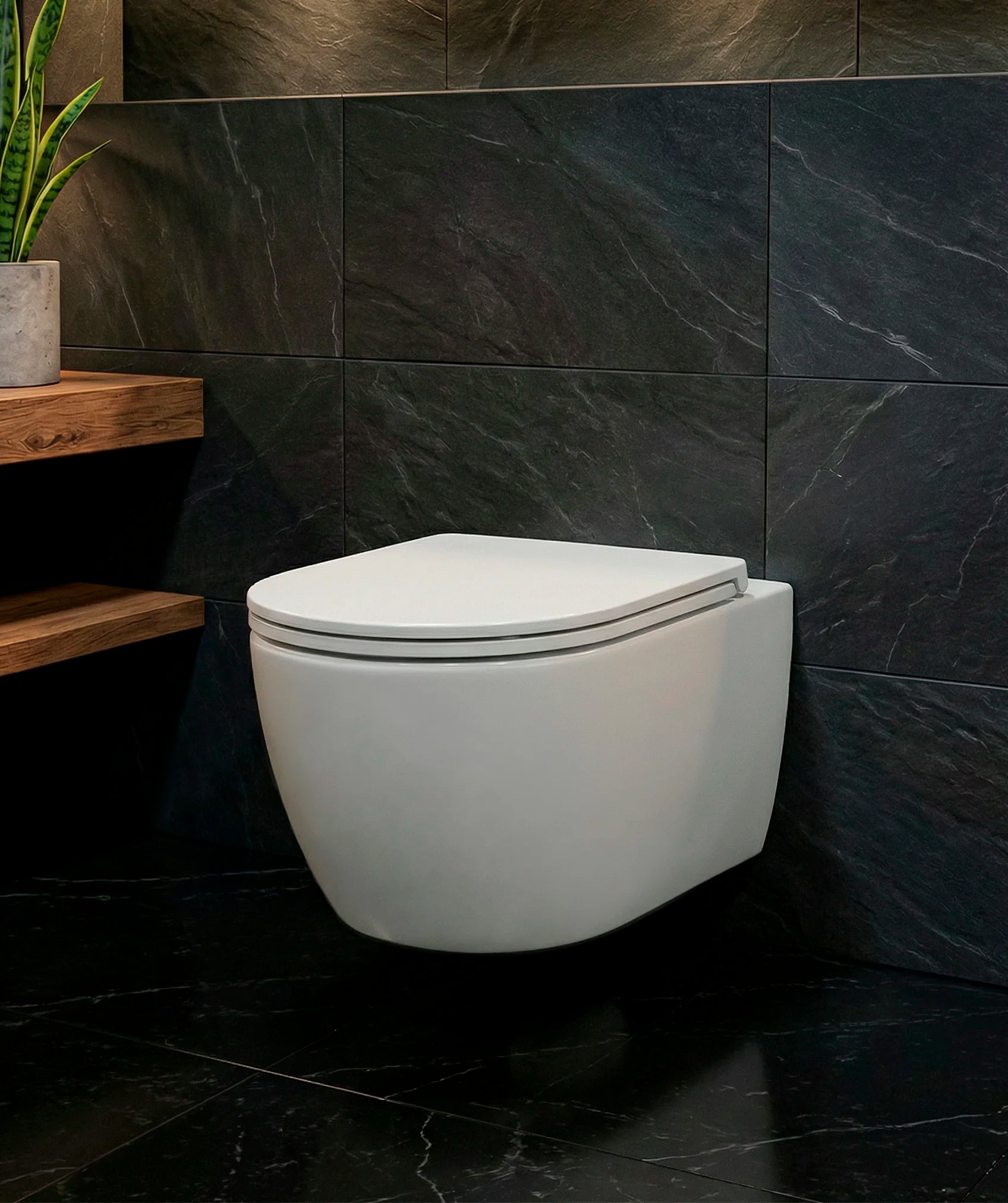 Inodoro de cerámica suspendido